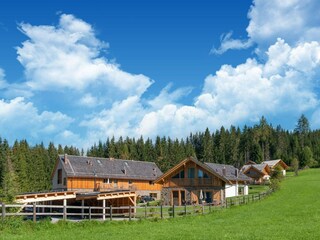 Chalet Tamsweg Environment 38