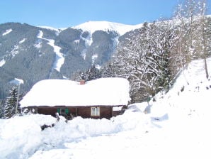 Holiday house Steingut - Zell am See - image1