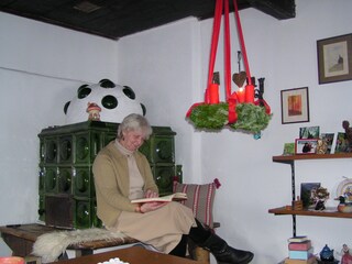 Casa per le vacanze Zell am See Caratteristiche 6