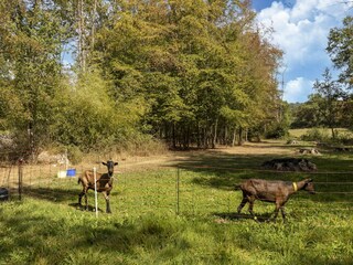 Holiday house Biches Outdoor Recording 3
