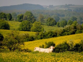 Ferienhaus Biches Umgebung 36
