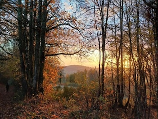 Holiday house Biches Environment 41