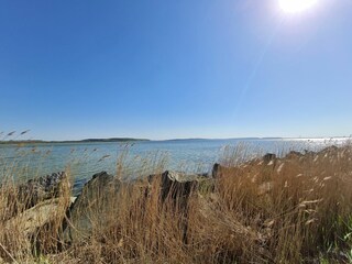 Jasmunder Bodden