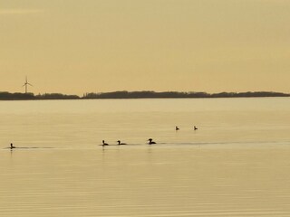 Natur pur