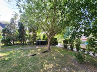 Garten mit altem Baum