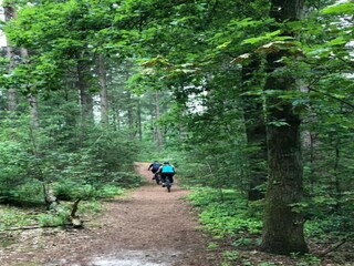 Vakantiepark Geldrop-Mierlo Omgeving 17