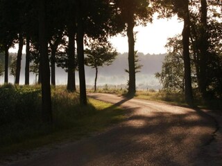 Vakantiepark Geldrop-Mierlo Omgeving 19