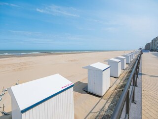 Appartement Middelkerke Environnement 24