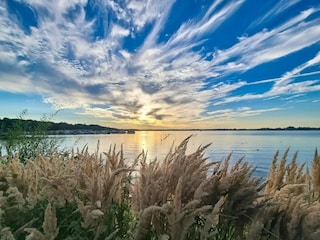 Ferienpark Waren (Müritz) Umgebung 31