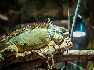 Ferienpark Weißenhäuser Strand  18