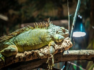 Parco vacanze Weißenhäuser Strand  19