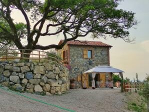 Neue toskanische Villa mit Pool - Castelnuovo di Val di Cecina - image1