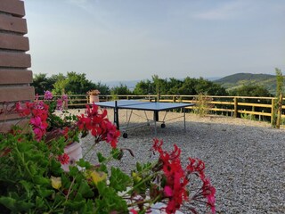 Villa Castelnuovo di Val di Cecina  42