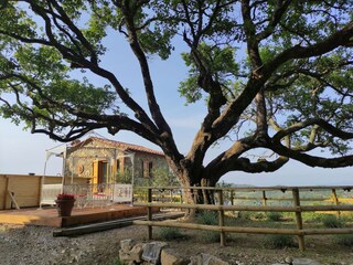 Villa Castelnuovo di Val di Cecina Buitenaudio-opname 3
