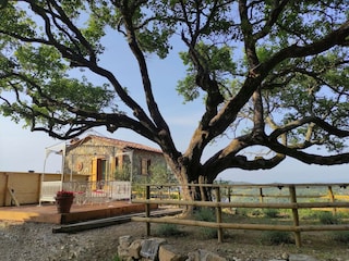 Villa Castelnuovo di Val di Cecina Outdoor Recording 5