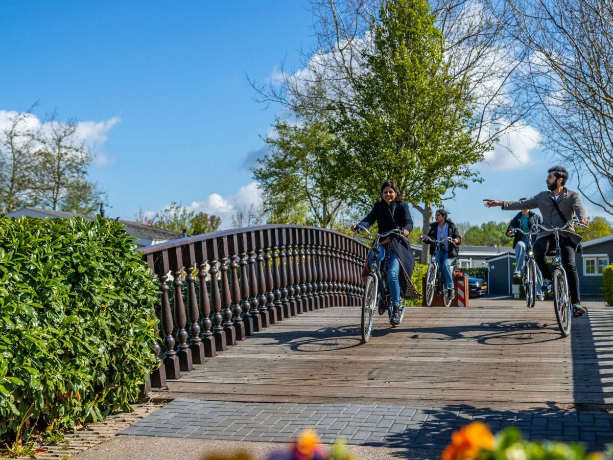 Ferienpark Driehuis Umgebung 1