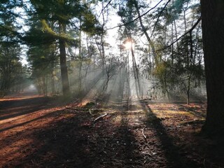 Parc de vacances Geldrop-Mierlo Environnement 16