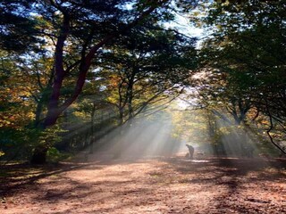 Holiday park Geldrop-Mierlo Environment 24