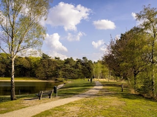 Vakantiepark Geldrop-Mierlo  35