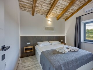 Villa Tinjan Caratteristiche 13