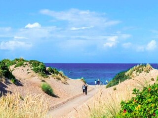 Ferienhaus Frederiksværk  16