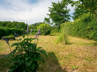 Vakantiehuis Humble Buitenaudio-opname 6