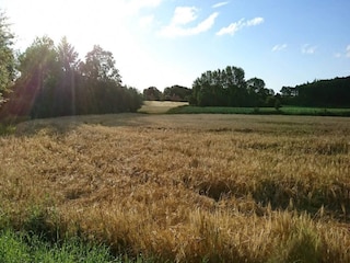 Vakantiehuis Humble  8