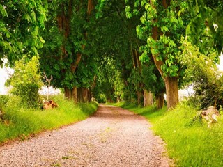 Maison de vacances Humble  38