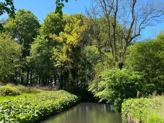 Vakantiehuis Humble  13