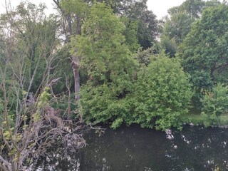 Maison de vacances Humble  39