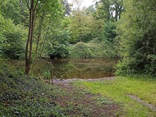 Vakantiehuis Humble  39