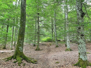 Holiday house Älmhult  13