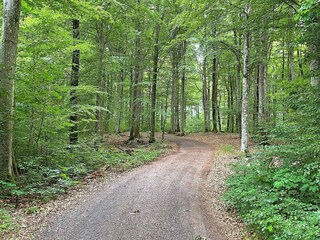 Holiday house Älmhult  19