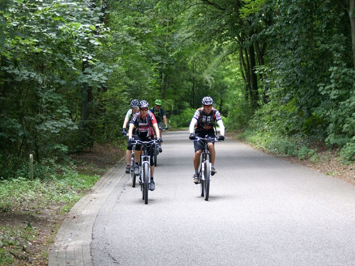 Ferienpark Baarlo Umgebung 15