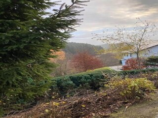 Vakantiehuis Willingen Buitenaudio-opname 3