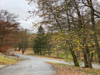 Holiday house Willingen Outdoor Recording 5