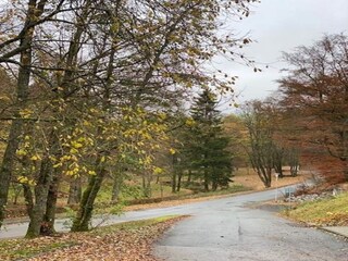 Maison de vacances Willingen Équipement 7