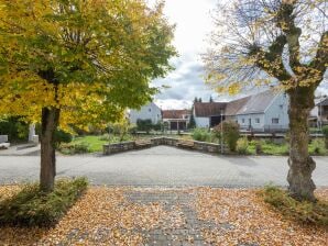 Modern vakantieappartement in Haunsheim met terras - Haunsheim - image1