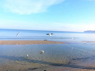 nur 100 m vom Strand entfernt