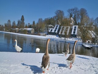 Vakantiepark Vielsalm Omgeving 15