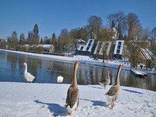 Vakantiepark Vielsalm Omgeving 29