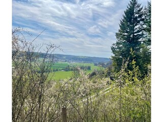 Casa per le vacanze Schöntal Registrazione all'aperto 6