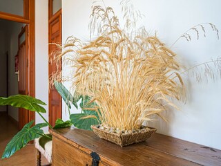 Vakantiehuisje Cubas  40