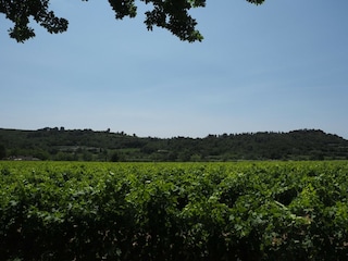 Ferienhaus Domazan Außenaufnahme 3