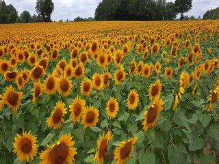 Vakantiehuisje Roussines Omgeving 32