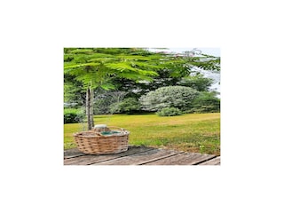 Holiday cottage Roussines Outdoor Recording 12