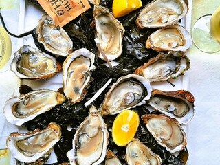 Maison de vacances Roussines  35