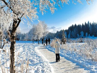 Casa de campo Mieming Entorno 16