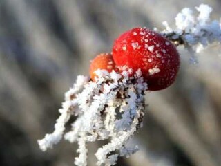 Holiday house Neßmersiel Environment 19