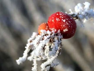 Winterzauber in Neßmersiel